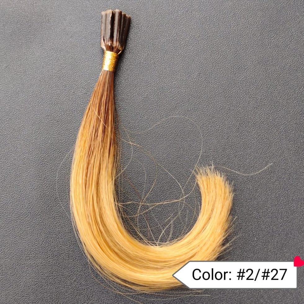 Color Chart Of LAGAH Exports Human Hair Extensions LAGAH EXPORTS